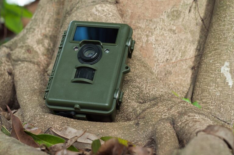 Best Cheap Game Cameras